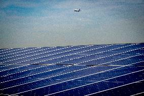 Illustration - Solar Park at Schiphol - Amsterdam