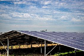 Illustration - Solar Park at Schiphol - Amsterdam