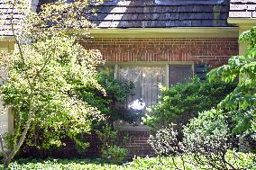 Bolton Home Search by the FBI