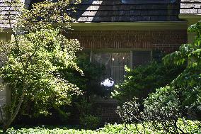 Bolton Home Search by the FBI