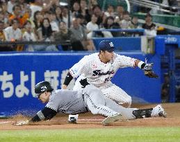 Baseball: Giants' Maru hits for cycle