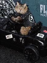 New York Premiere Of Columbia Pictures' 'Caught Stealing'