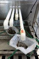 Project To Sterilize Tiger Mosquitoes - Italy