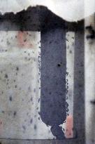 Project To Sterilize Tiger Mosquitoes - Italy