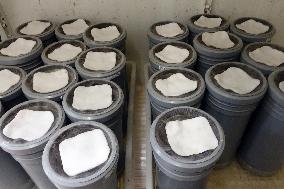 Project To Sterilize Tiger Mosquitoes - Italy