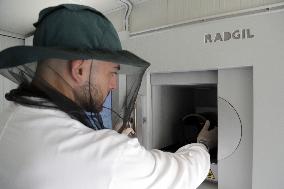 Project To Sterilize Tiger Mosquitoes - Italy