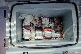 Blood Donation in Bardarash Iraq