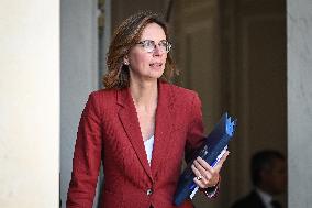 Council of Ministers at the Elysee Palace - Paris