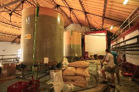 Early 2025 Harvest in The Midst of The French Wine Crisis