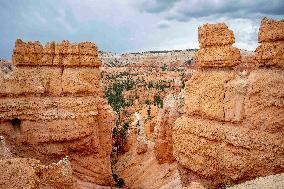 Illustration - Bryce Canyon is a National Park - USA