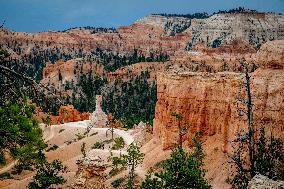 Illustration - Bryce Canyon is a National Park - USA
