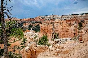 Illustration - Bryce Canyon is a National Park - USA