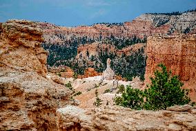 Illustration - Bryce Canyon is a National Park - USA
