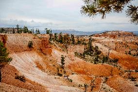 Illustration - Bryce Canyon is a National Park - USA