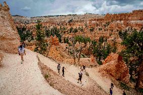 Illustration - Bryce Canyon is a National Park - USA