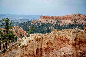 Illustration - Bryce Canyon is a National Park - USA