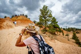 Illustration - Bryce Canyon is a National Park - USA