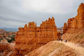 Illustration - Bryce Canyon is a National Park - USA