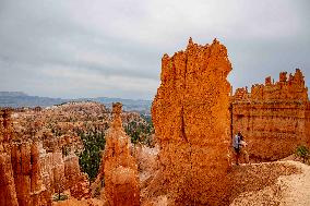 Illustration - Bryce Canyon is a National Park - USA