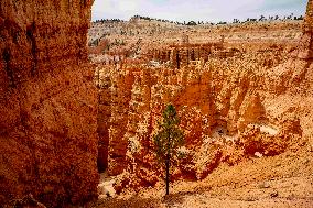 Illustration - Bryce Canyon is a National Park - USA