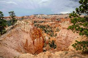 Illustration - Bryce Canyon is a National Park - USA