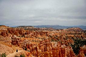 Illustration - Bryce Canyon is a National Park - USA