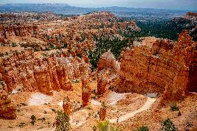 Illustration - Bryce Canyon is a National Park - USA
