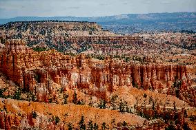 Illustration - Bryce Canyon is a National Park - USA