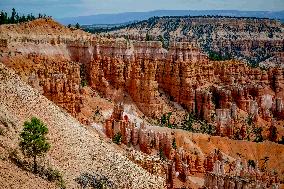 Illustration - Bryce Canyon is a National Park - USA