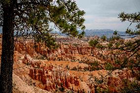 Illustration - Bryce Canyon is a National Park - USA