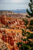 Illustration - Bryce Canyon is a National Park - USA