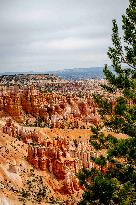 Illustration - Bryce Canyon is a National Park - USA