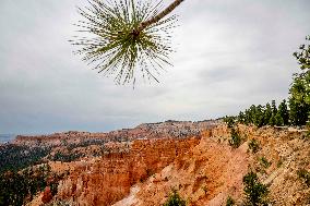 Illustration - Bryce Canyon is a National Park - USA