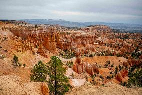 Illustration - Bryce Canyon is a National Park - USA