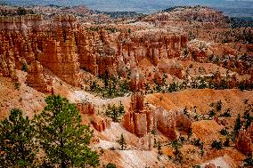Illustration - Bryce Canyon is a National Park - USA