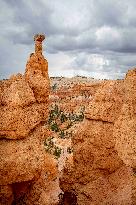 Illustration - Bryce Canyon is a National Park - USA