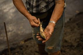 Situation 2 in Pobra Do Brollón Fire Cancelled - Spain