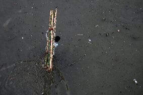 Monsoons Flood in India
