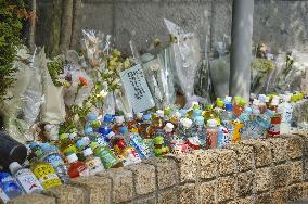 Fatal stabbing of woman in western Japan