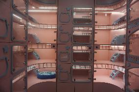 Hangzhou Xiaoshan International Pet Terminal