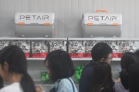 Hangzhou Xiaoshan International Pet Terminal