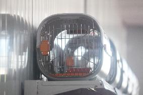 Hangzhou Xiaoshan International Pet Terminal