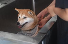 Hangzhou Xiaoshan International Pet Terminal