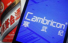 Cambrian Market Value Exceeds Kweichow Moutai