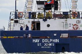 Hav Dolphin cargo ship heading to Vaasa