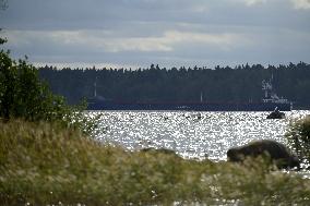 Hav Dolphin cargo ship heading to Vaasa