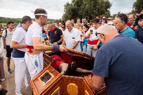 Pilgrimage of the Holy Christ of the Sahuco - Spain