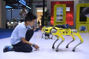 2025 China International Big Data Industry Expo in Guiyang