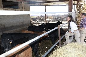 Spanish Royals Galicia  wildfires