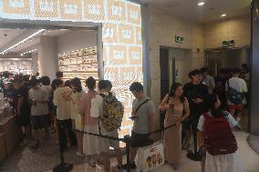 Pop Mart LABUBU Poplar in China